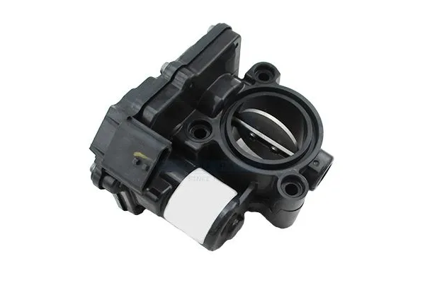 Gaz Kelebeği  GUA 41253