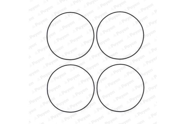 Gömlek Contası  PAYEN HR566