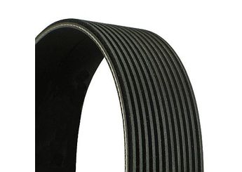 Vantilatör Kayışı  CONTINENTAL 12PK1815  500341808 504027703 504049425