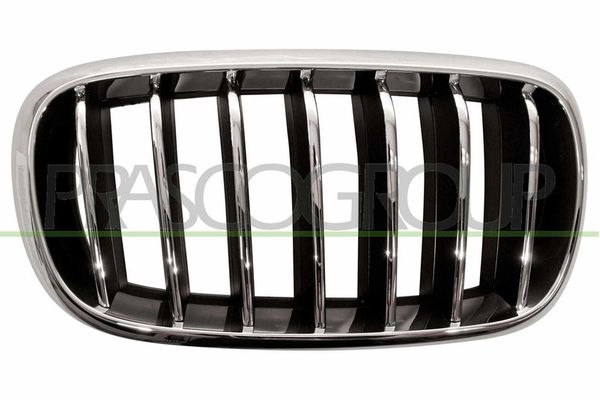 Panjur Ön Sağ BMW X5 Serisi (F15)(02.2014->)  TW 2052-2343