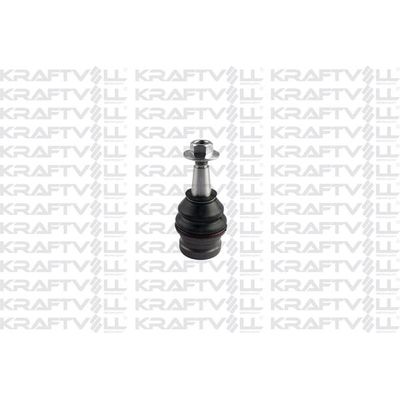 Rotil Alt Sağ veya Sol Audi Q5 (8R)(11.2008->)  KRAFTVOLL 13010121