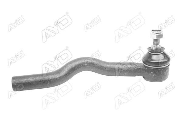 Rot Başı Sol AYD 00966