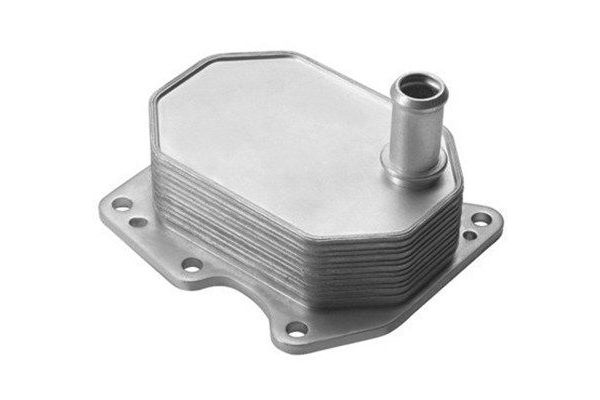 Motor Yağ Soğutucu  MAGNETI MARELLI 359001602190