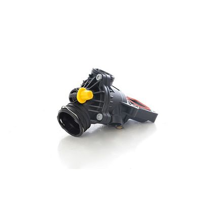 Termostat  BSG 60-125-020