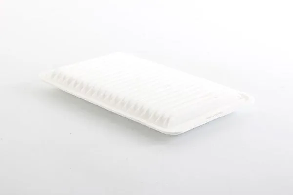 Hava Filtresi  BSG 55-135-005