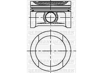Piston (81.00MM-STD)  YENMAK 31-04307-100  