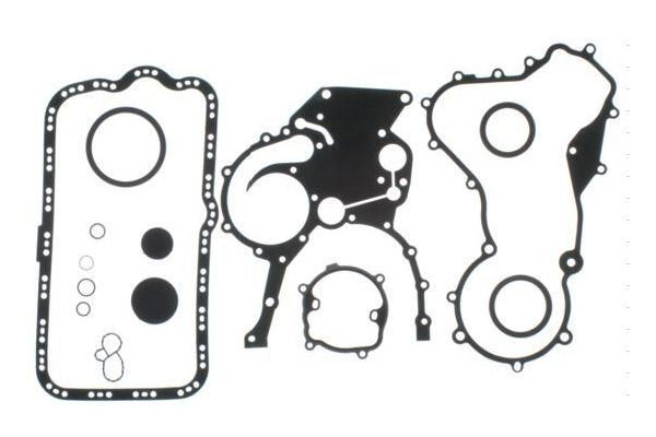 Takım Conta  Renault Vel Satis (BJ0)(02.2002->)  AVORTEX 481