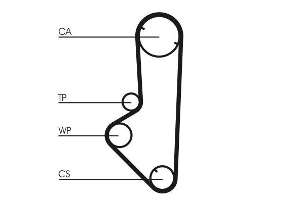 Triger Kayışı  MG Rover Rover 200 (RF)(1996->)  CONTINENTAL CT707