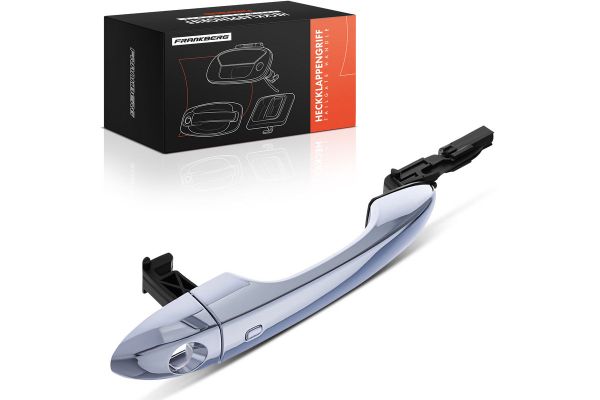 Kapı Kolu Dış Renault R 19 5 Kapı (B/C53)(06.1988->)  PLEKSAN 3112