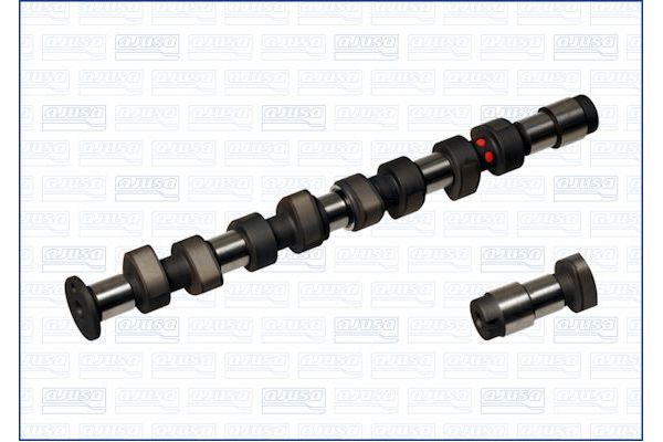 Eksantrik Mili  ESTAS 58168