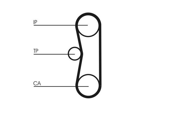 Triger Kayış Seti  Citroen CX 5 Kapı (07.1985->)  CONTINENTAL CT700K2PRO