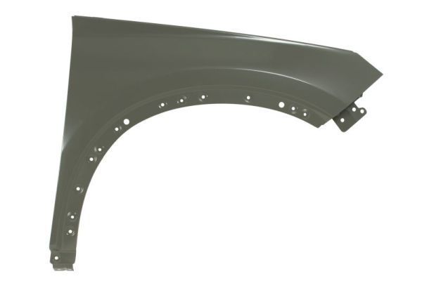 Çamurluk Ön Sağ EUROBUMP BYD08SE005