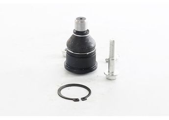 Rotil Alt Sağ veya Sol AYD 03860  G03034350F G03034550A 0G030-34-550A G03034550B 0G030-34-550B oG03034550A oG030-34-550A oG03034550B oG030-34-550B E11299300C E112-99-300C G03034300D G030-34-300D G03034300F G030-34-300F G03034350D G030-34-350D G03034350E G030-34-350E G030-34-350F G03099356 G030-99-356 GA6A34300A GA6A-34-300A GA6A34300E GA6A-34-300E GA6A34350 GA6A-34-350 GA6A34350A GA6A-34-350A GA6A34350B GA6A-34-350B GA6A34350C GA6A-34-350C GA6A34350D GA6A-34-350D GA6A34350E GA6A-34-350E GA6A99356 GA6A-99-356 GA6B34350 GA6B-34-350 GA6B34350A GA6B-34-350A GA6B34350B GA6B-34-350B GA6B34350C GA6B-34-350C GA6B34350D GA6B-34-350D GA6B99300E GA6B-99-300E GA6B99350E GA6B-99-350E GA6B99356 GA6B-99-356 GA6B99356A GA6B-99-356A LC6299300C LC62-99-300C