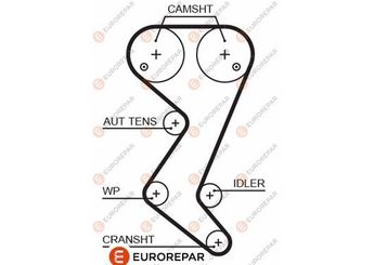 Triger Kayışı  EUROREPAR 1633126280  816C8 0816C8 96354383 9635438380 96354384 9635438480