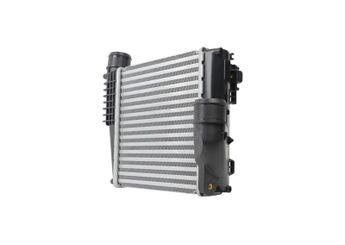 Turbo Radyatörü  HELLA 8ML 366 340-721  9675627980 3637170