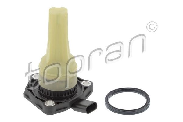 Yağ Müşürü  Audi A3 Sportback (8YA)(03.2020->)  FEBI BILSTEIN 1004387