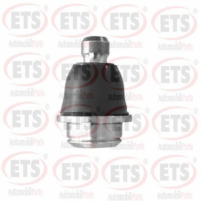 Rotil Alt Sağ veya Sol RIW NS1047