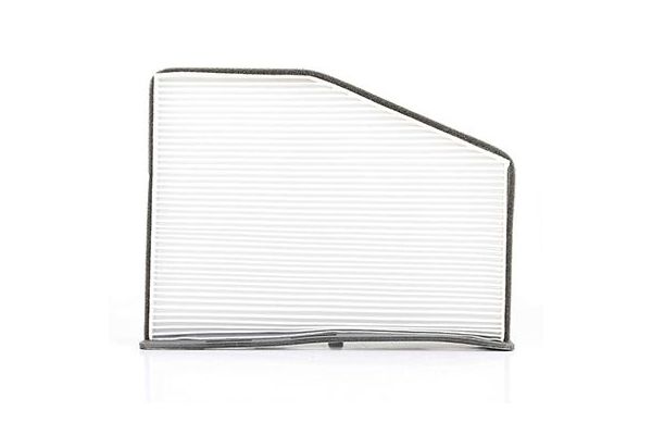 Polen Filtresi  Volkswagen Tiguan (5N1)(11.2007->2011)  BSG 90-145-008