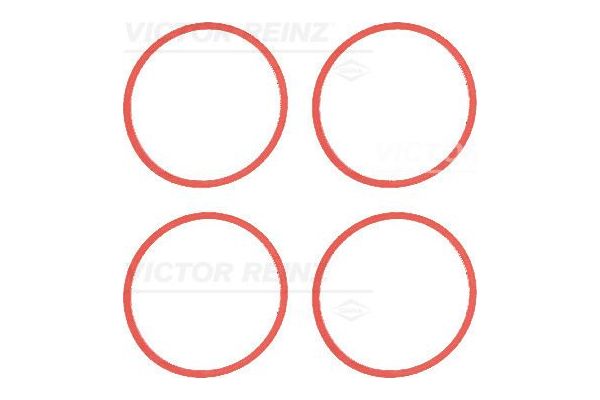 Takım Conta  REINZ 11-35246-01