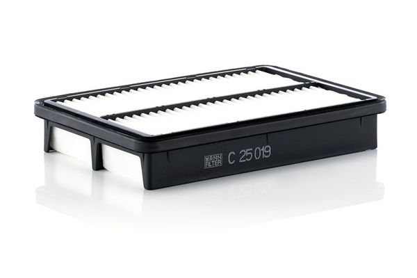 Hava Filtresi  MANN C 25 019