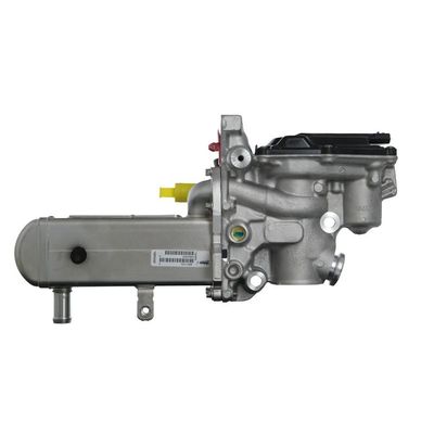 Egr Valfi  VALEO 700447