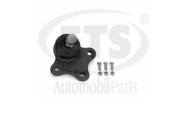 Rotil Alt Sağ veya Sol ORJİN 00297