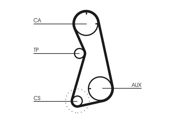 Triger Kayışı  Volkswagen Jetta II (165/167)(01.1984->1992)  CONTINENTAL CT869