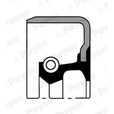Aks Keçesi  PAYEN NJ562