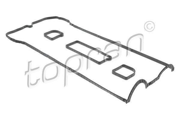 Takım Conta  Land Rover Range Rover Evoque Cabriolet (2015->)  TOPRAN 305 318