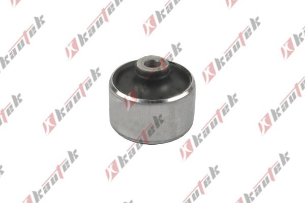 Salıncak Burcu Ön Alt Sağ veya Sol KAUTEK NI-BS169