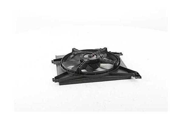 Radyatör Fan ve Motoru  BSG 40-510-019