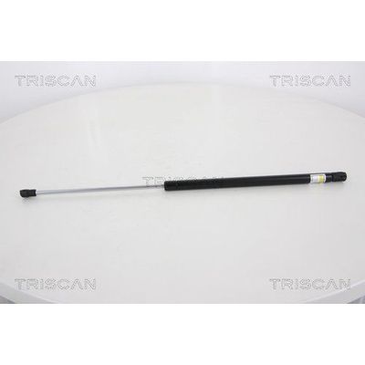 Bagaj Amortisörü Sağ veya Sol MANUS 193201RT