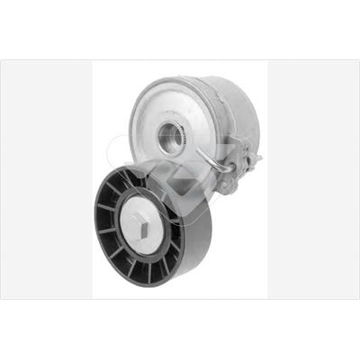 Vantilatör Kayış Gergi Rulmanı  Fiat Ducato P.Van 15 (03.2002->)  PSA ORJINAL 1613839980