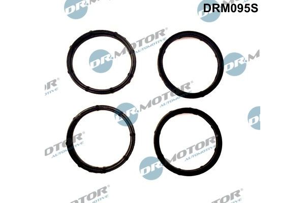 Takım Conta  ROYAL H7 4124