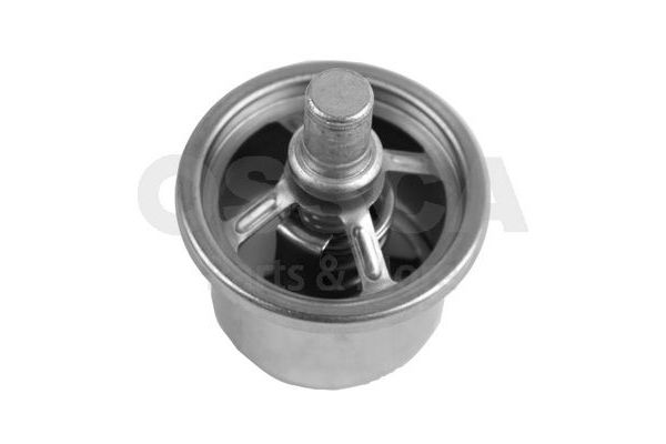 Termostat 87 °C  CALORSTAT THS19099.87J