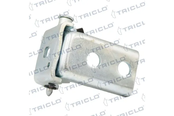 Kapı Menteşesi Ön Sağ Citroen Spacetourer / Space (06.2016->)  BITAPART BPE309532