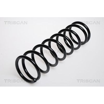 Helezon Yayı Arka STANDART YAY 110021R