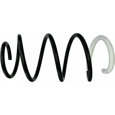 Helezon Yayı Ön OTOZONE HYO8011