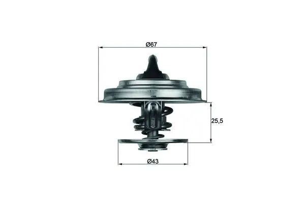 Termostat  MAHLE TX 18 65