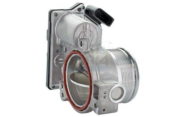 Gaz Kelebeği  Audi A6 Avant (4GD)(09.2014->)  ZEGEN ZTB1043