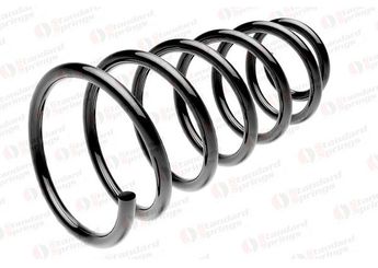 Helezon Yayı Arka VOTTO H-1005  51791523