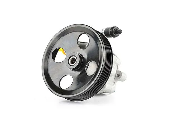 Direksiyon Pompası  BSG 30-355-010