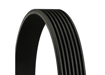 Vantilatör Kayışı  CONTINENTAL 7PK1325  504000413 6000616601 5802102050 6229930100 622 993 01 00 A6229930100 A 622 993 01 00 4423076 95517887 117201261R 21145933J 021145933J