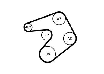 Vantilatör Kayış Seti  CONTINENTAL 6PK1205WP1  1340267 13 40 267 1340550 13 40 550 1340551 13 40 551 1334128 1334169 1334210 1340011 1340015 55561623 55567559 55573160 55587345 55595610 55779016 6340553 63 40 553
