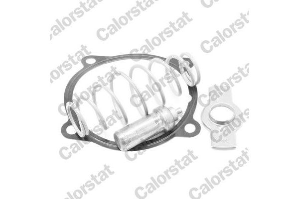Termostat 79 °C  CALORSTAT TH7313.79J