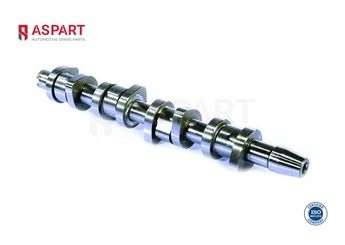 Eksantrik Mili  ASPART 8CAM1003  38109101R 038 109 101 R 38 109 101 R