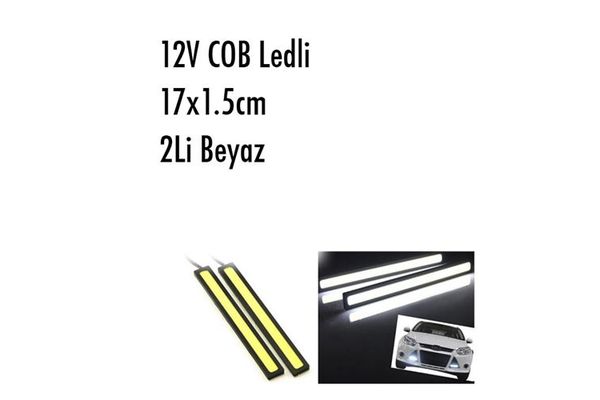 Gündüz Ledi  CARUB 004 16 680