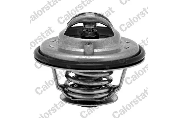 Termostat  Porsche Cayenne (Typ 9PA)(08.2002->)  CALORSTAT TH6533.80J