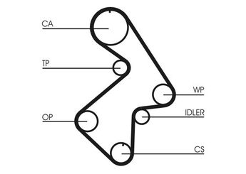 Triger Kayışı  CONTINENTAL CT998  13568 79095 1356803010 1356803020 1356809040 1356809041 1356874010 1356874011 1356874012 1356874013 1356874020 1356879025 1356879095 135687909583 1356879215 1356879225