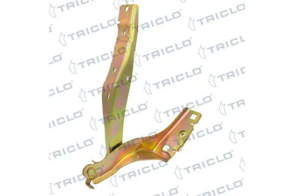 Motor Kaput Menteşesi Sağ Peugeot 308 SW (05.2008->)  FROW 258.1656.002